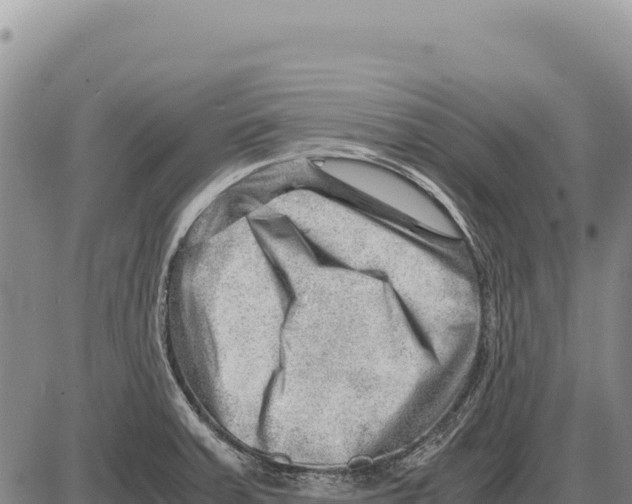 X0000086291379200704271751