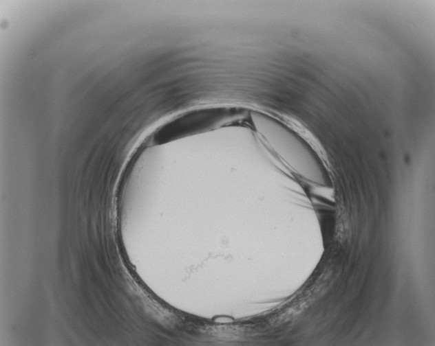 X0000086291380200704271751