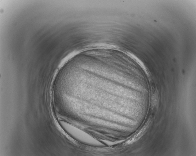 X0000086291381200704271751