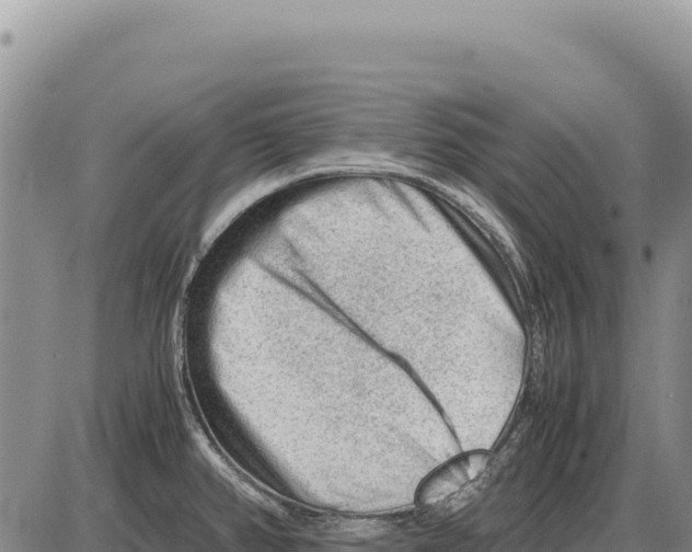 X0000086291382200704271751