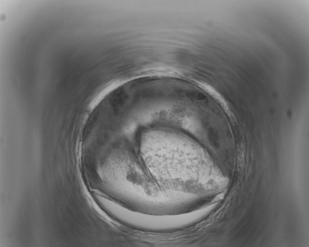 X0000086291383200704271751