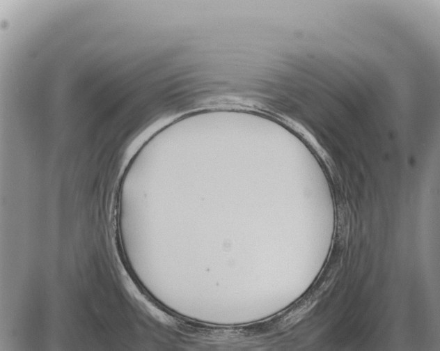 X0000086291387200704271751