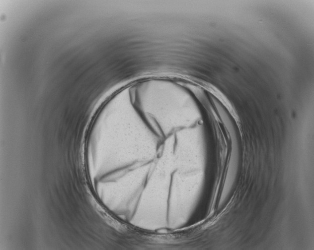 X0000086291388200704271751