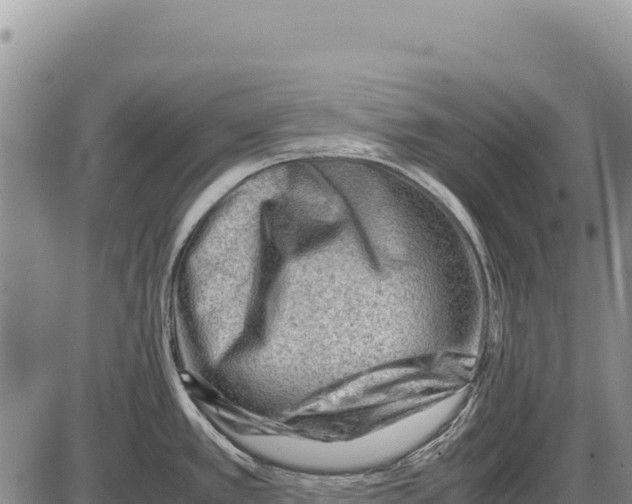 X0000086291389200704271751