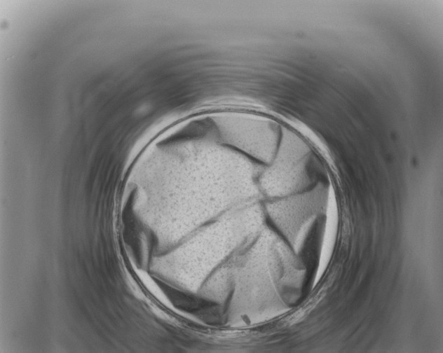 X0000086291390200704271751