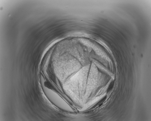 X0000086291392200704271751