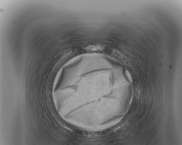 X0000086291393200704271750