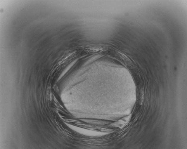 X0000086291394200704271750