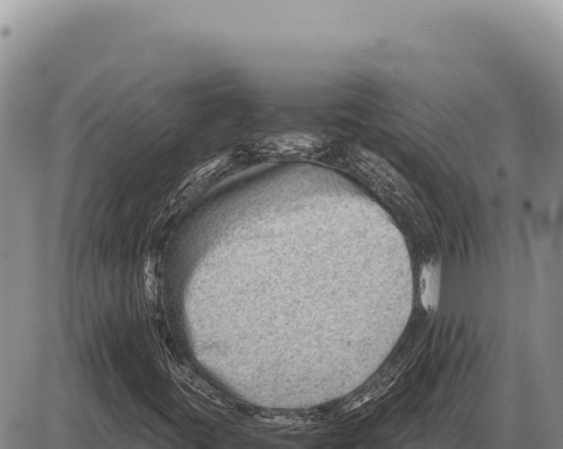 X0000086291395200704271750