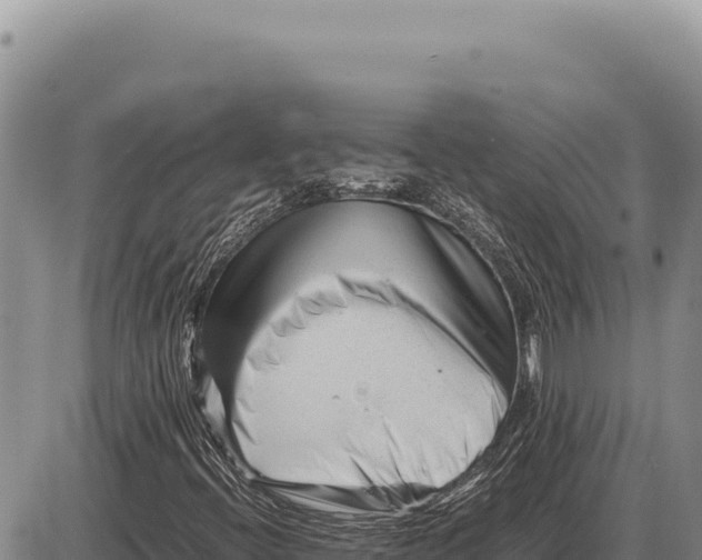 X0000086291396200704271750