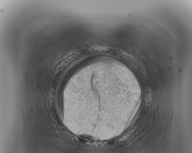 X0000086291397200704271750