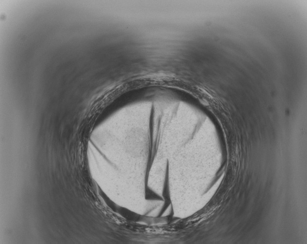 X0000086291398200704271750