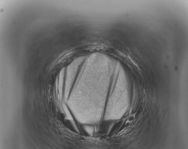 X0000086291399200704271750