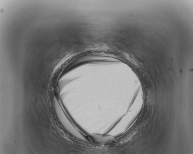 X0000086291400200704271750