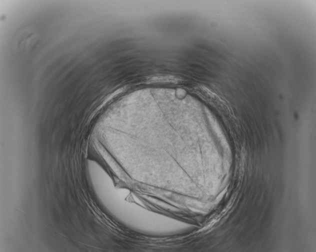 X0000086291401200704271750