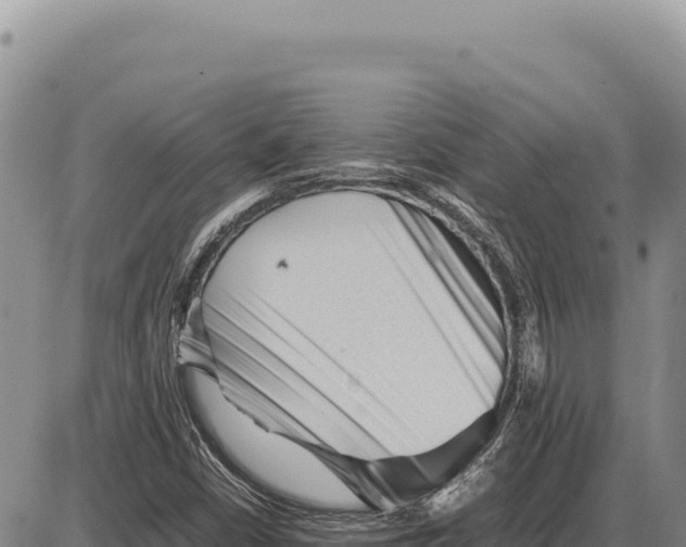 X0000086291402200704271750