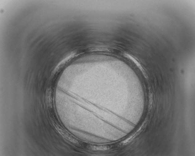 X0000086291403200704271750