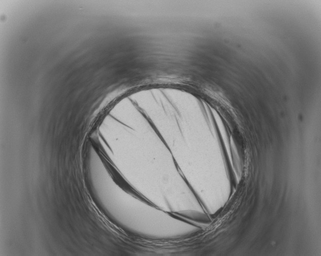 X0000086291404200704271750