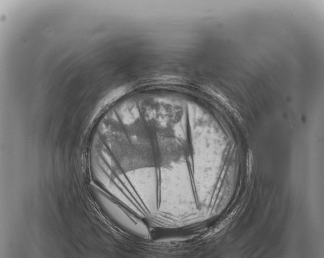 X0000086291405200704271750