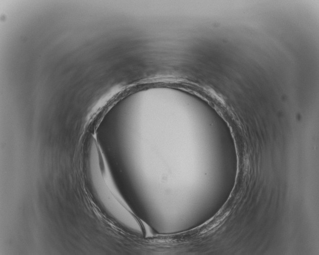 X0000086291406200704271750