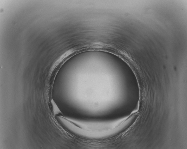 X0000086291410200704271751