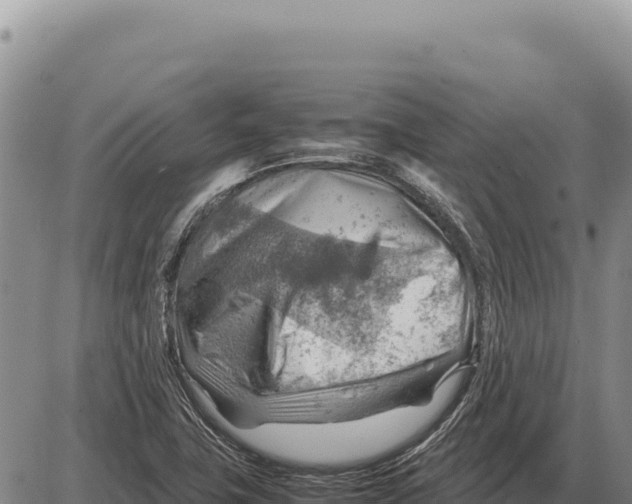 X0000086291411200704271751