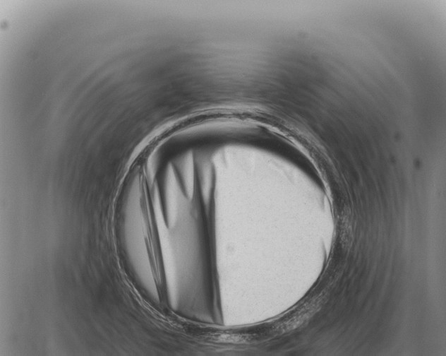 X0000086291412200704271751