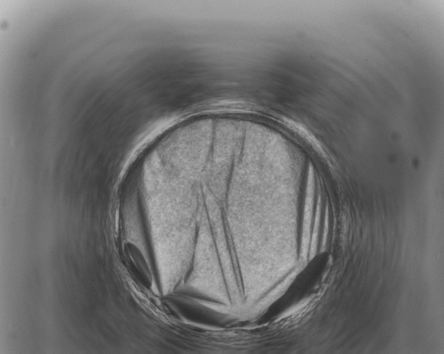 X0000086291413200704271751