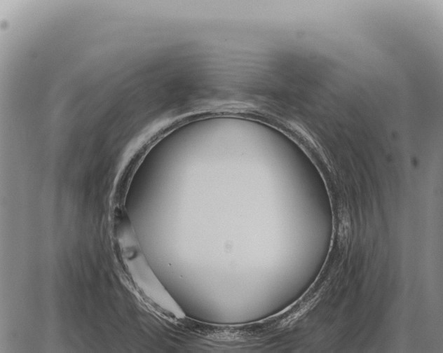 X0000086291414200704271751