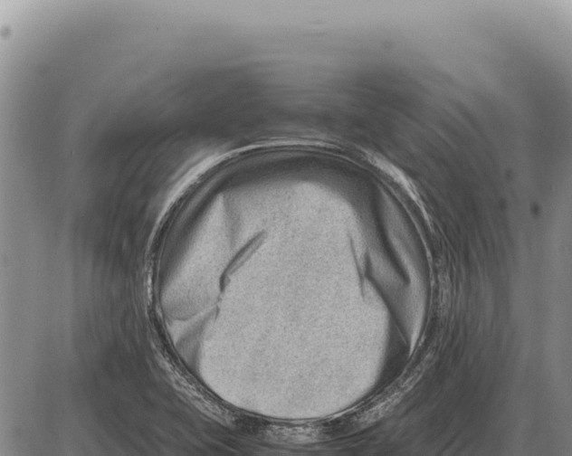 X0000086291415200704271751