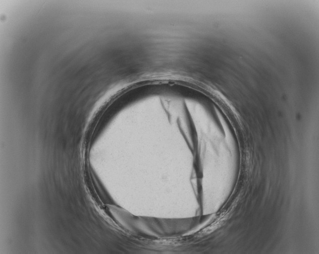 X0000086291416200704271751