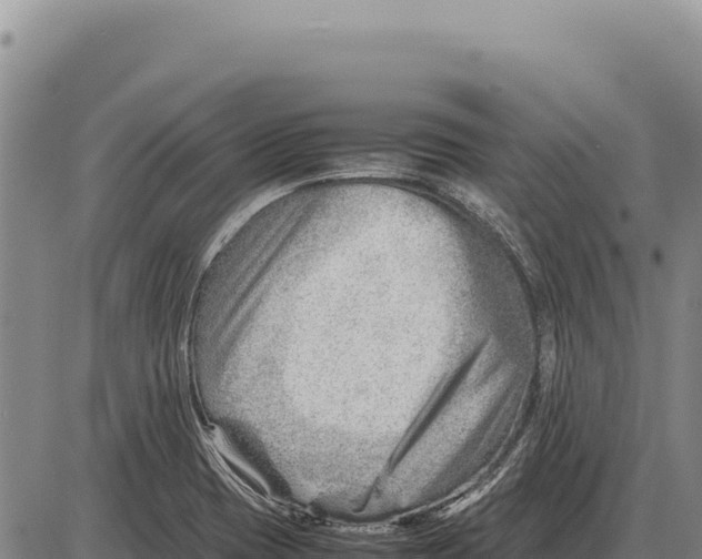 X0000086291417200704271751