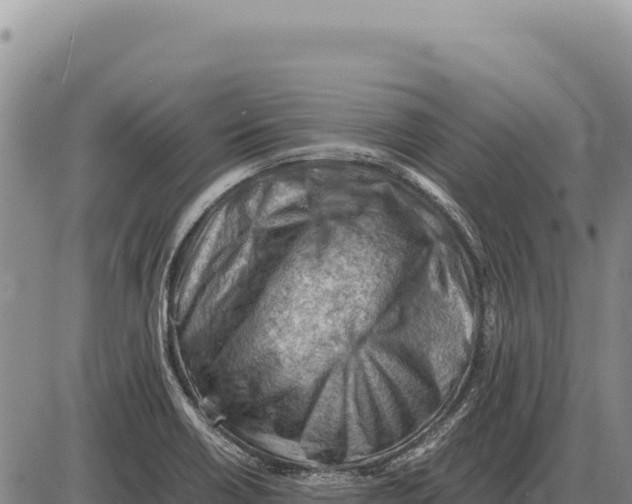 X0000086291418200704271751