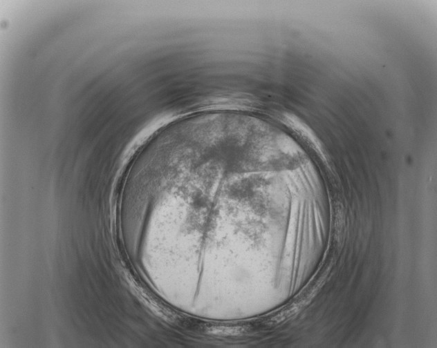 X0000086291419200704271751