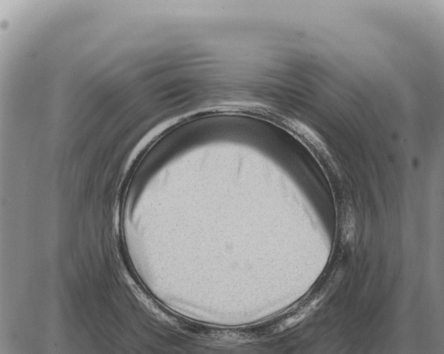 X0000086291420200704271751