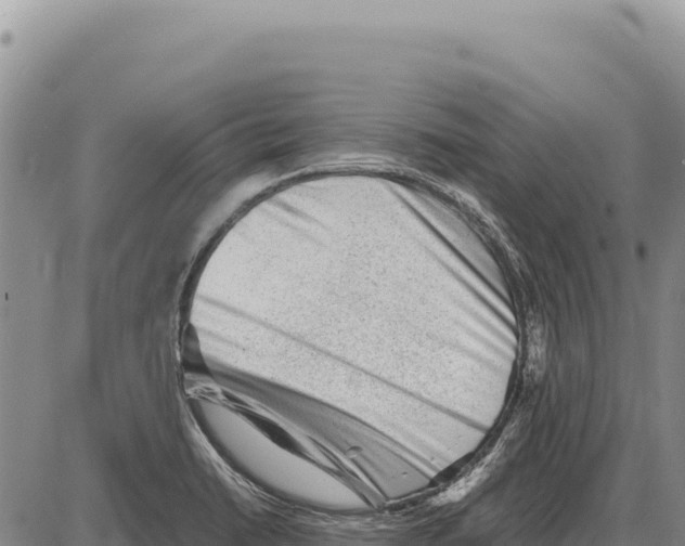 X0000086291422200704271751