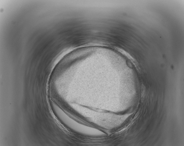 X0000086291423200704271751