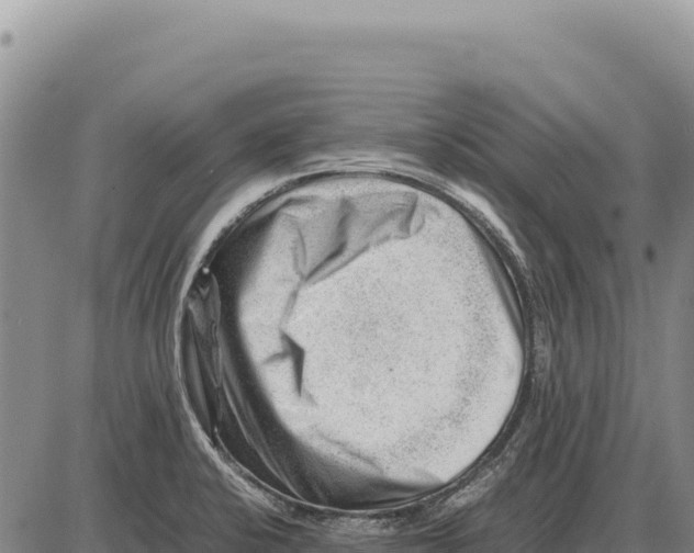 X0000086291424200704271751