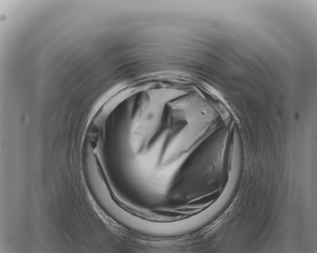 X0000086291426200704271751