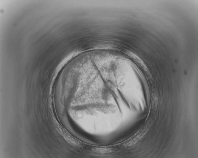 X0000086291427200704271751