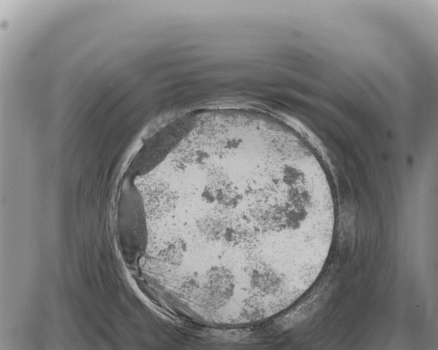 X0000086291429200704271751