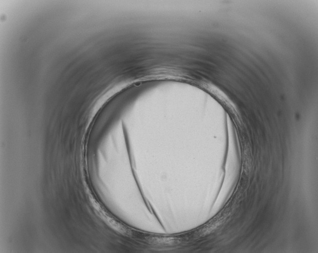 X0000086291431200704271751