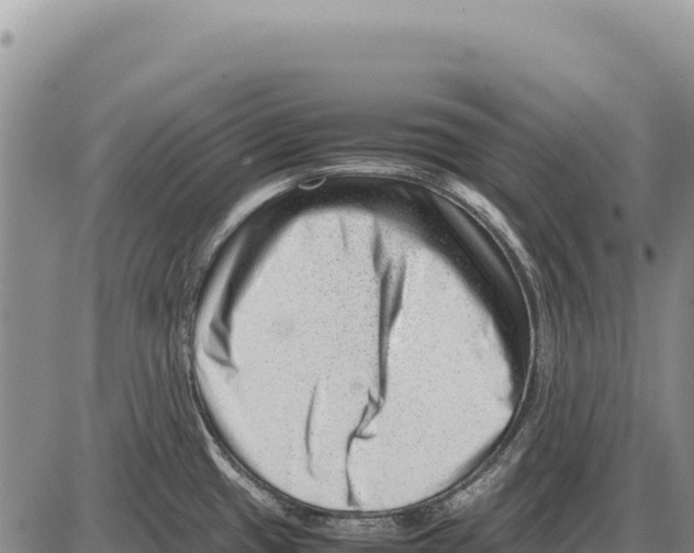 X0000086291433200704271751