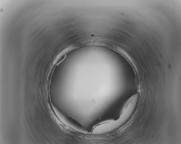 X0000086291434200704271751