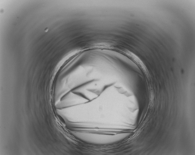 X0000086291435200704271751