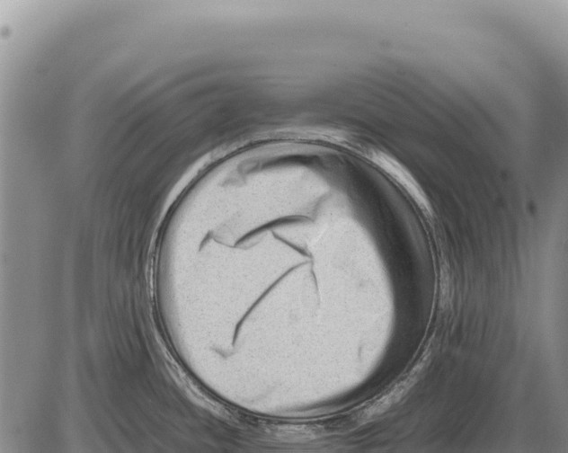 X0000086291436200704271751