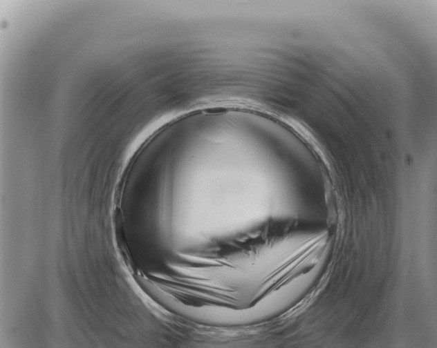 X0000086291438200704271751