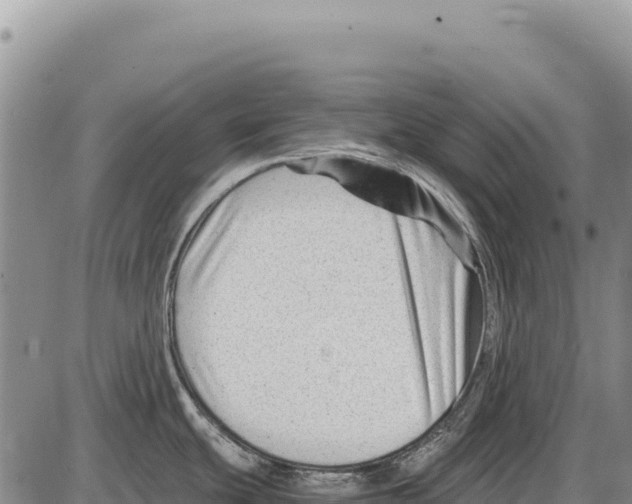 X0000086291439200704271751