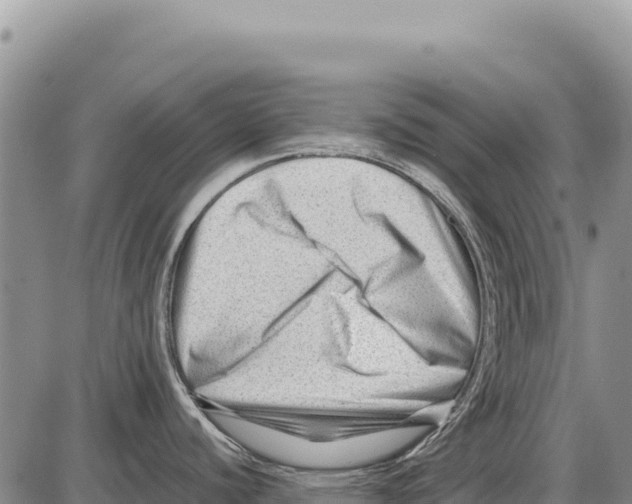 X0000086291440200704271751