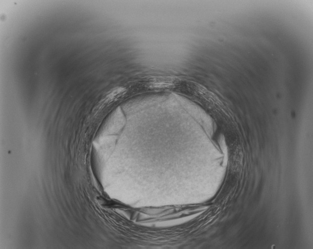 X0000086291441200704271750